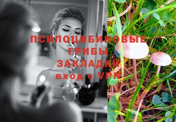эйфоретик Корсаков