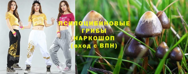 эйфоретик Корсаков