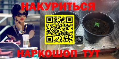 прущие крисы Беслан