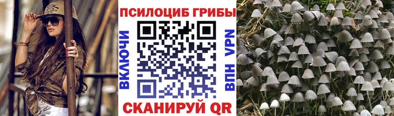 Псилоцибиновые грибы GOLDEN TEACHER  Балашиха 
