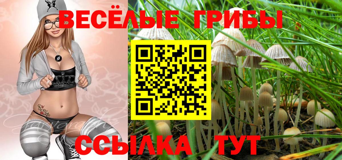 Галлюциногенные грибы мицелий Балашиха