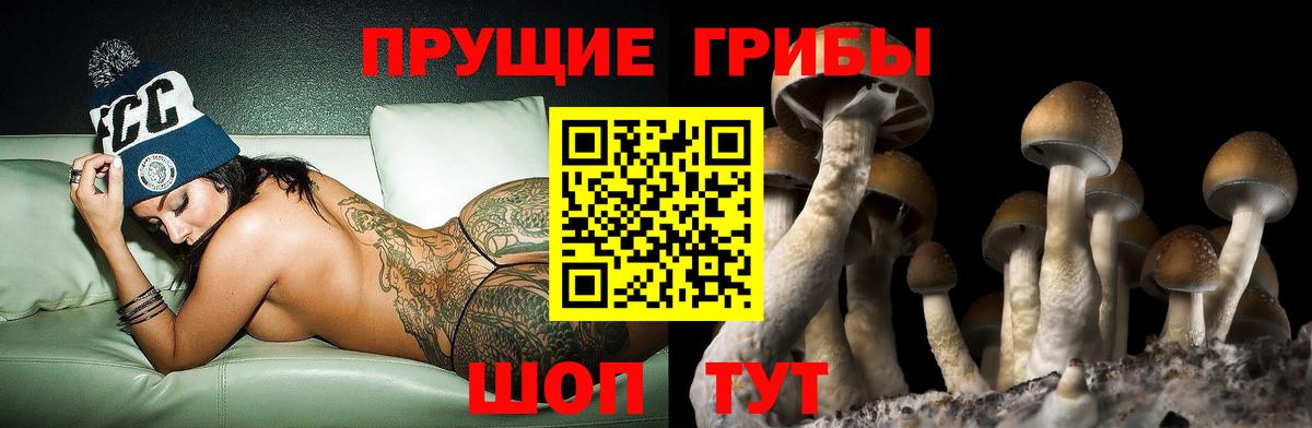 Балашиха  Галлюциногенные грибы Psilocybine cubensis  Галлюциногенные грибы мухоморы  Вход с VPN 